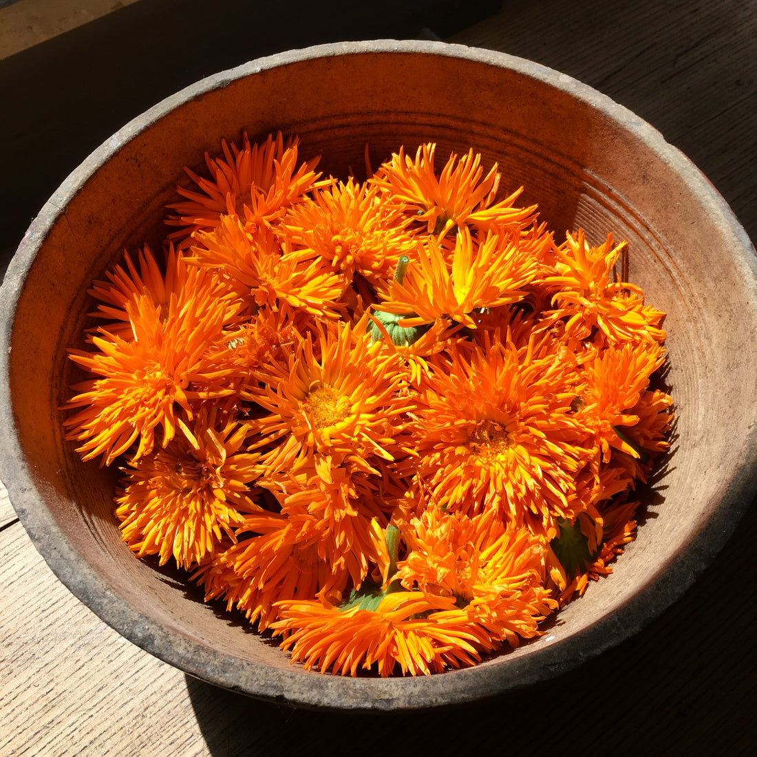 Calendula Öl (Calendula officinalis, Ringelblume)